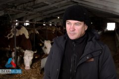 В Новопсковском районе сельхозтоваропроизводителей поддержали субсидиями