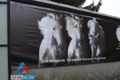 4 конных завода Луганской Народной Республики получили гуманитарную помощь от Ассоциации развития коневодства РФ