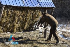 Работники Свердловского лесоохотничьего хозяйства в зимний период регулярно проводят подкормку диких животных и птиц