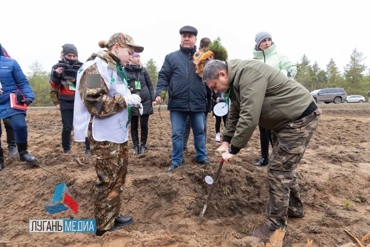 Леонид Пасечник посадил сосну в честь своего деда, ветерана Великой Отечественной войны