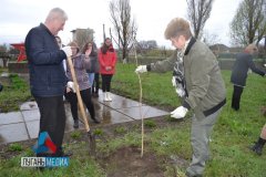 В Новоанновке состоялась высадка деревьев в рамках Международной акции «Сад Памяти»