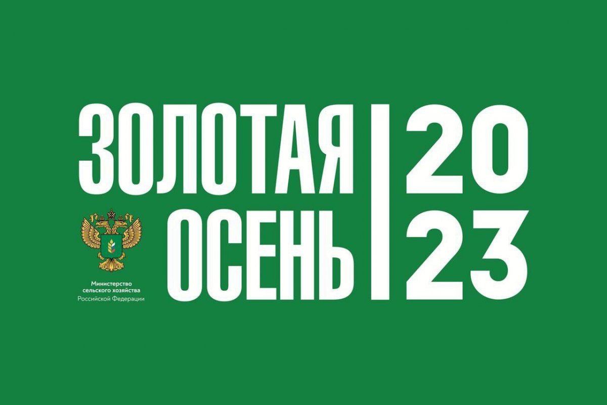 Предприятия ЛНР впервые участвуют в выставке «Золотая осень – 2023»