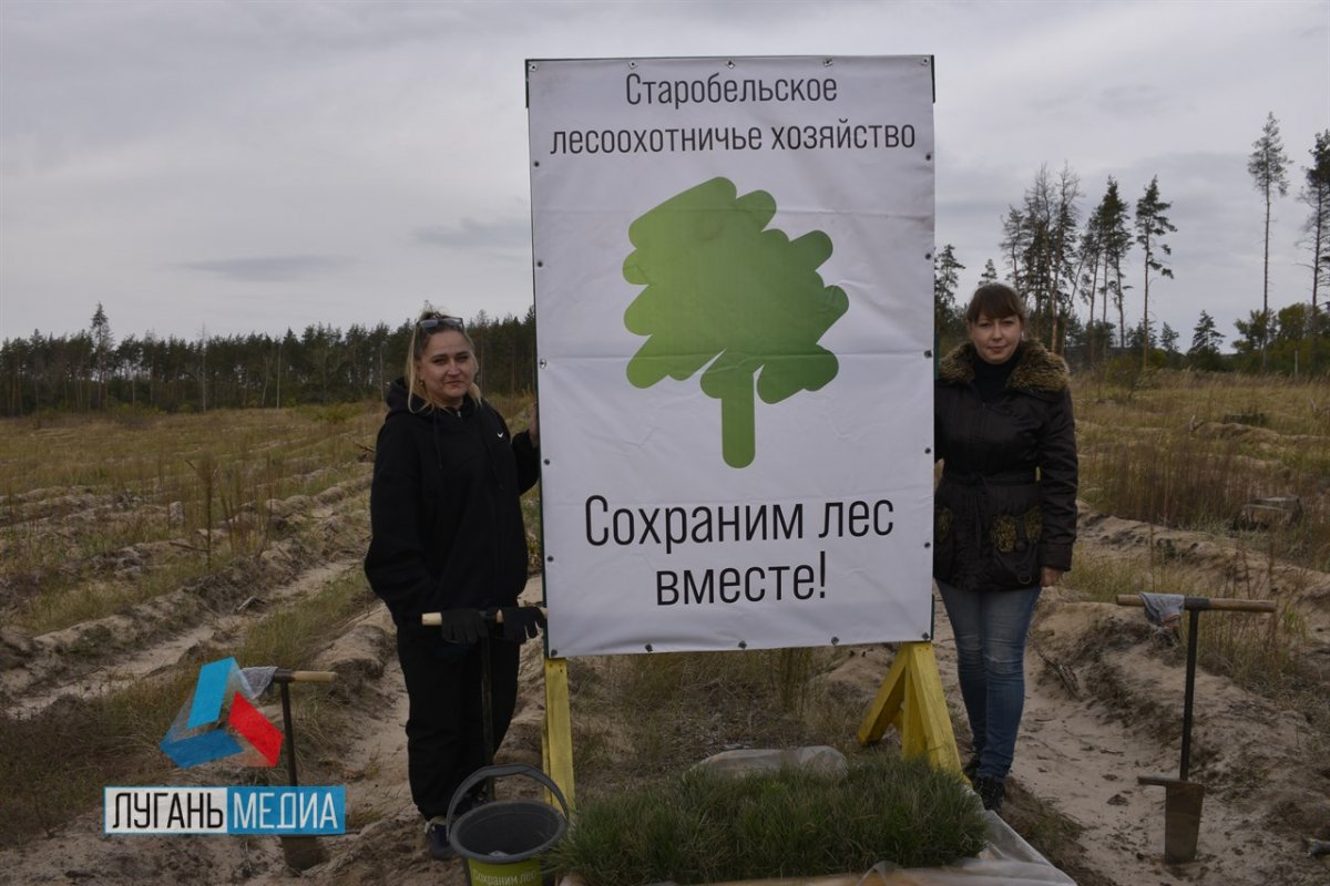 В Республике дан старт Всероссийской осенней акции «Сохраним лес»