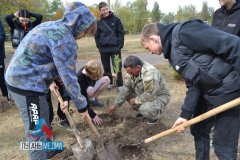 «Семейный лес» станет символом единения народов России