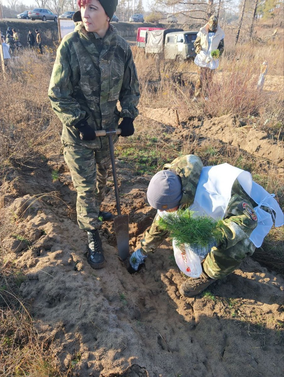 В Республике продолжаются посадки леса в рамках Всероссийской акции «Сохраним лес»