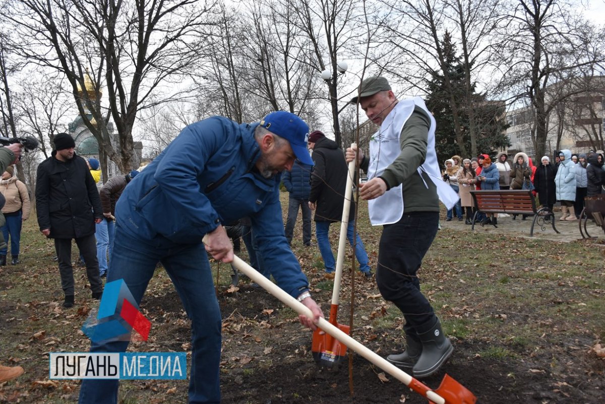 В свердловском парке культуры и отдыха им. Героев Сталинградской битвы у Мемориала Скорби состоялась Международная акция «Сад памяти»