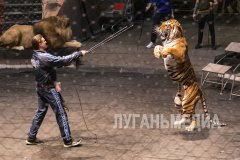 Знаменитая династия цирковых артистов Запашных – в Луганске!