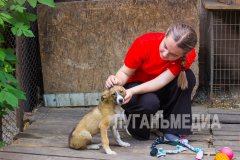 Активисты посетили приют «Дай лапу»