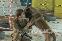 В Луганске прошел семинар по трюковой подготовке собак «Контакт собаки с хозяином на позитивном подкреплении»