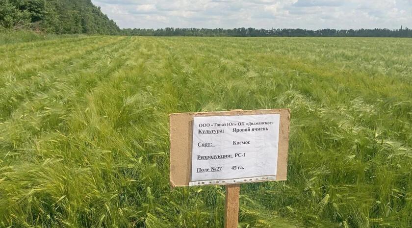 Аграрии ЛНР получили достаточно семян на сев озимых