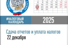 Специалисты Межрайонной ИФНС России №2 по ЛНР напоминают о сдаче отчетов и уплаты налогов  22 декабря